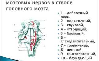 Симптомы и лечение бульбарного синдрома