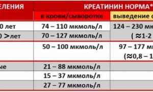 Разбираем причины и лечение пониженного креатинина
