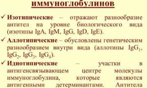 Все про нормы иммуноглобулина Е