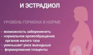 Все про эстрадиол при беременности