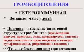 Вся информация про иммунную тромбоцитопению