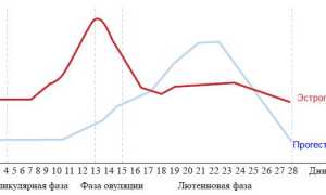 Узнаем норму прогестерона в лютеиновой фазе