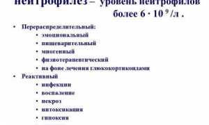 Вся информация про нейтрофилез