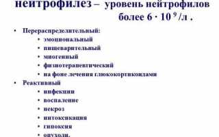 Вся информация про нейтрофилез