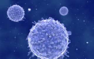 Поговорим про повышенные лимфоциты в крови у взрослого