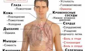 Узнаем показатели анализа крови при анемии