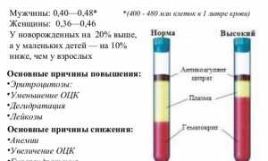 Узнаем, что делать, если повышен гематокрит и почему