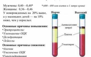 Узнаем, что делать, если повышен гематокрит и почему
