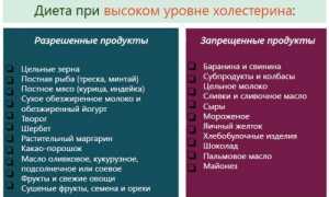 Обзор диеты для снижения холестерина