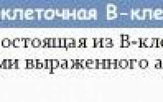 Вся информация про B клеточную лимфому