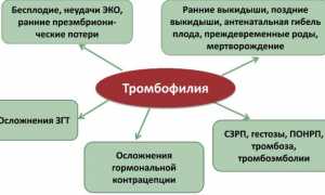 Полезная информация про анализ крови на тромбофилию