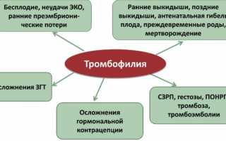Полезная информация про анализ крови на тромбофилию