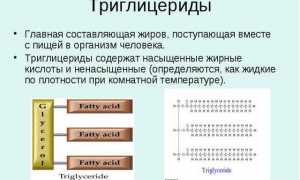 Все, что нужно знать про триглицериды