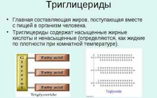 Все, что нужно знать про триглицериды