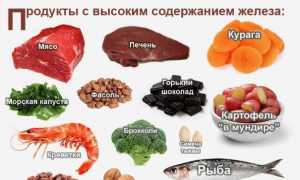 Узнаем, какие продукты употреблять для повышения гемоглобина