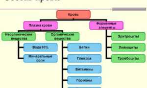 Основные элементы состава крови