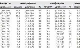 О чем говорит пониженный уровень гранулоцитов?