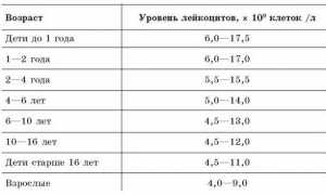 Узнаем, как понизить лейкоциты в крови