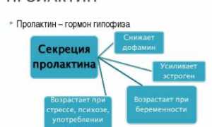 Все про повышенный пролактин у женщин
