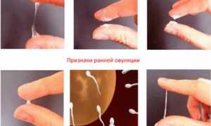 Почему перед месячными появились слизистые выделения?