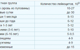 Расскажем, как поднять лейкоциты в крови после химиотерапии