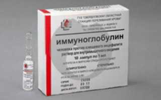 Вся информация про иммуноглобулин против клещевого энцефалита