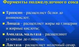 Вся информация про фермент Липаза