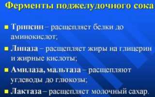 Вся информация про фермент Липаза