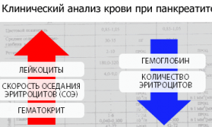 Важная информация про анализы при панкреатите