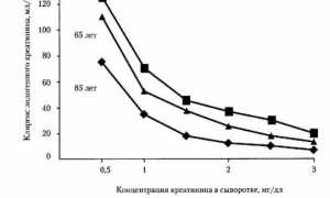Все про клиренс креатинина
