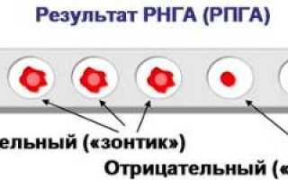 Анализ крови РПГА и его расшифровка