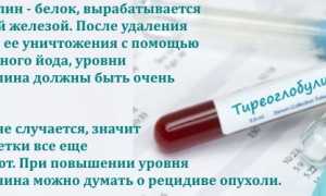 Узнаем нормы тиреоглобулина