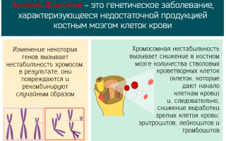 Узнаем все про анемию Фанкони