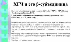 Все про Бета ХГЧ
