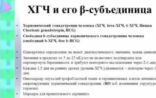 Все про Бета ХГЧ