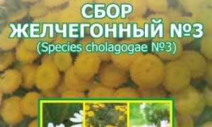 Отвечаем на вопрос, чем и как снизить билирубин в крови