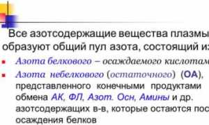 Важная информация про остаточный азот в крови