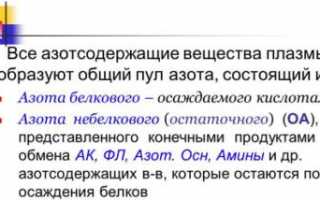 Важная информация про остаточный азот в крови