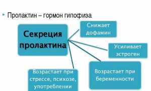 Узнаем, как правильно сдавать пролактин