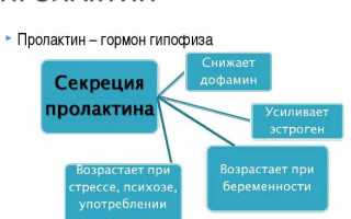 Узнаем, как правильно сдавать пролактин