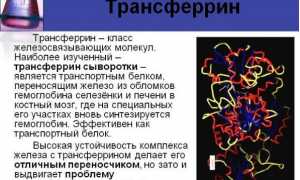 Узнаем, что такое трансферрин