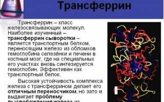 Узнаем, что такое трансферрин