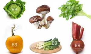 Обзор продуктов, повышающих лейкоциты в крови