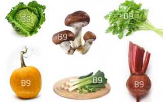 Обзор продуктов, повышающих лейкоциты в крови