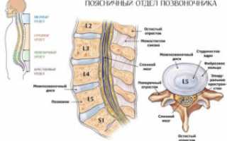 Остеохондроз пояснично-крестцового отдела позвоночника: препараты и лфк