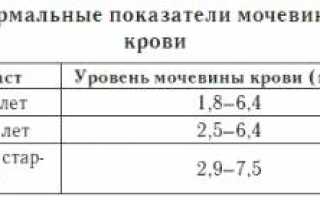 Все про повышенную мочевину в крови у женщин