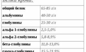 Разберемся в нормах общего белка в крови