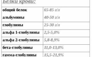 Разберемся в нормах общего белка в крови