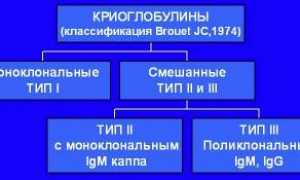 Все про анализ на криоглобулины