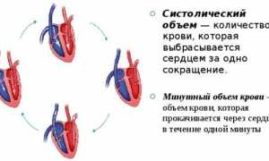 Важное про минутный объем крови